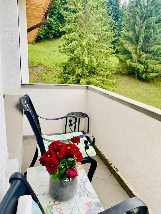 Apartament Durau Ngoại thất bức ảnh